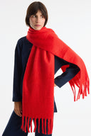 Fringed Imported Scarf Shawl
