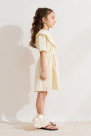 Embroidered Collar Detail Dress