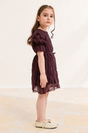 Gathered Detail Voile Dress