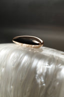 Elegance Buckled Evening Bag