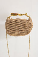 Gold Chain Woven Bag