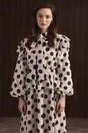 Polka Dot Ruffled Dress